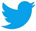 Twitter Footer icon